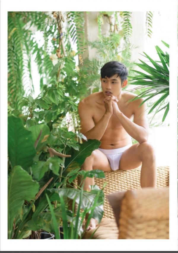 Brothers-Vol.15---Diamond